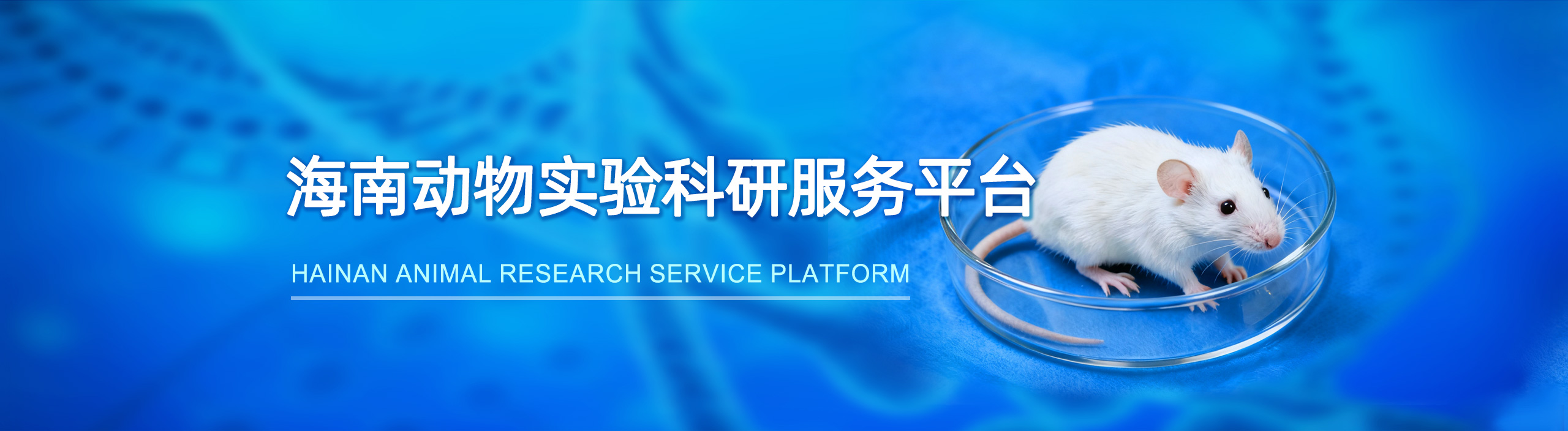 动物实验服务平台
