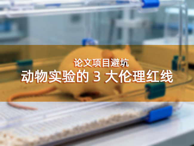 论文项目避坑:动物实验的3大伦理红线