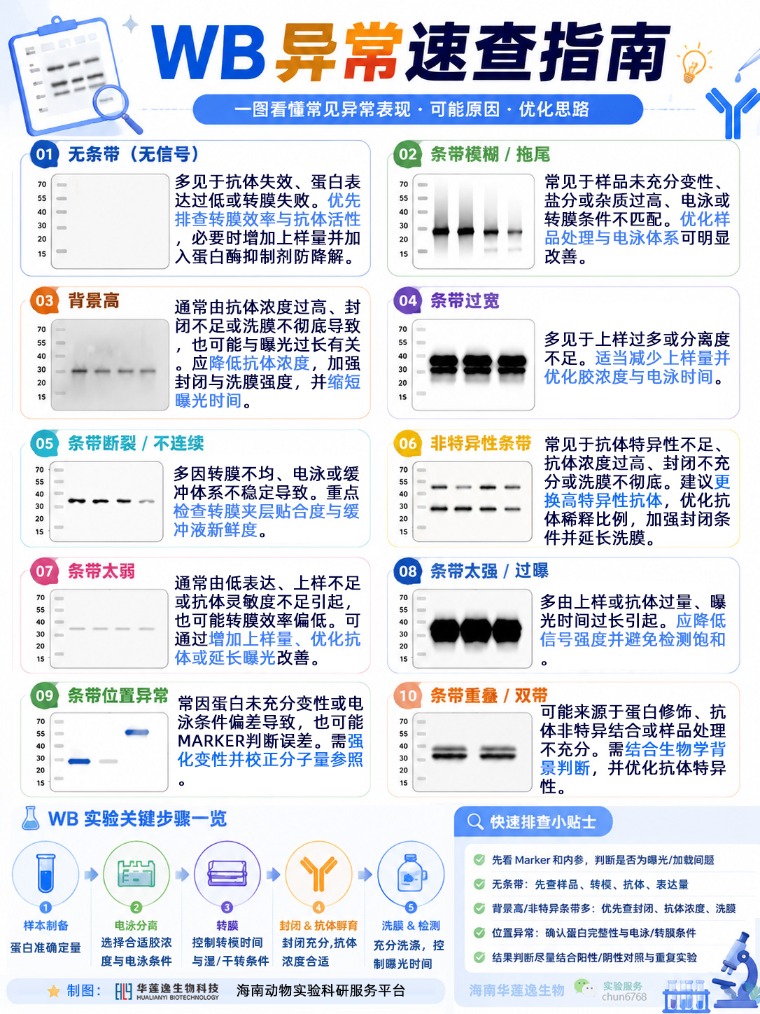 未标题-2.jpg